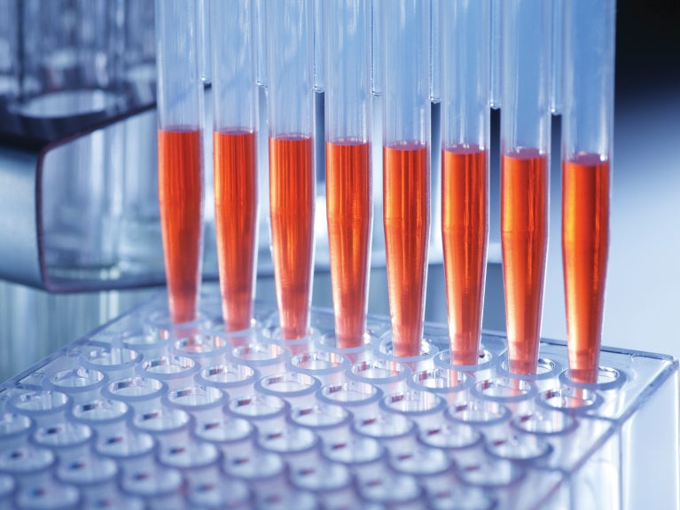 Stem Cell