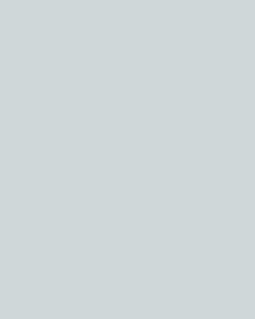Gray image placeholder