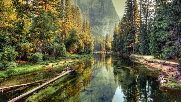 Environmental