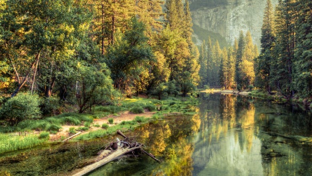 Environment