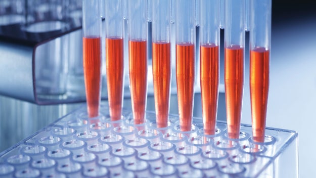Stem Cell